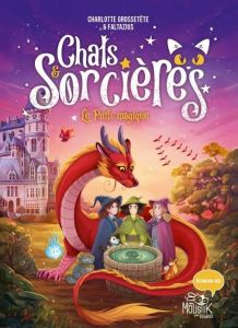 Chats & Sorcières Tome 3 : Le puits magique - Grossetête Charlotte