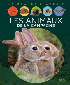 Les animaux de la campagne - Chauvelot Raphaëlle - Alunni Bernard - Lemayeur Ma