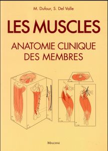 Les muscles. Anatomie clinique des membres - Dufour Michel - Valle Acedo Santiago del