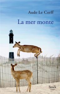 La mer monte - Le Corff Aude