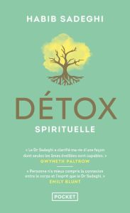 Détox spirituelle - Sadeghi Habib - Paltrow Gwyneth - Guenon Elisa