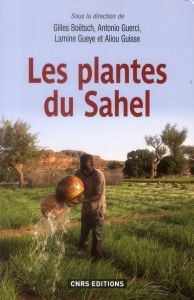 Les plantes du Sahel. Usages et enjeux sociaux - Boëtsch Gilles - Guerci Antonio - Gueye Lamine - G