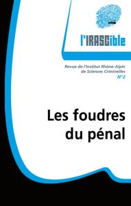 L'IRASCible N° 2 : Les foudres du pénal - Ferrand Jérôme - Pin Xavier - Scalia Damien