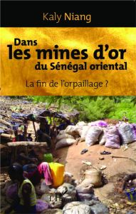 Dans les mines d'or du Sénégal oriental. La fin de l'orpaillage ? - Niang Kaly