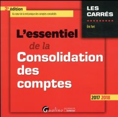 L'essentiel de la consolidation des comptes 2017-2018 / Au coeur de la mécanique des comptes consoli - Tort Eric