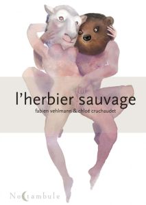 L'Herbier sauvage - Vehlmann Fabien - Cruchaudet Chloé