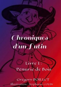 Chroniques d'un Lutin Tome 1 : Pénurie de Bois - Boillet Grégory - Colin Stéphanie