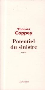 Potentiel du sinistre - Coppey Thomas