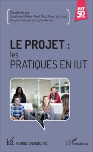 Le projet : les pratiques en IUT - Mailles-Viard Metz Stéphanie - Pélissier Chrysta -