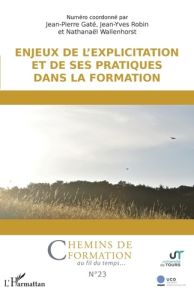 Chemins de formation N° 23 : Enjeux de l'explicitation et de ses pratiques dans la formation - Gaté Jean-Pierre - Robin Jean-Yves - Wallenhorst N