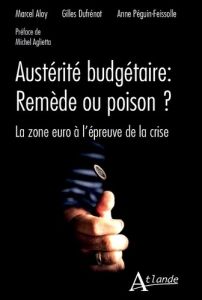 Austérité budgétaire : remède ou poison ? La zone Euro à l'épreuve de la crise - Aloy Marcel - Dufrénot Gilles - Peguin-Feissole An