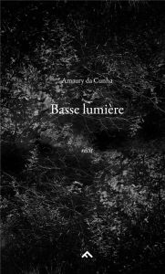 BASSE LUMIERE - DA CUNHA AMAURY
