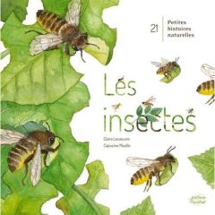 Les insectes - Lecoeuvre Claire - Mazille Capucine