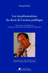 François Féral. Les transformations du droit de l'action politique - Calmette Jean-François - Rios Rodriguez Jacobo - S