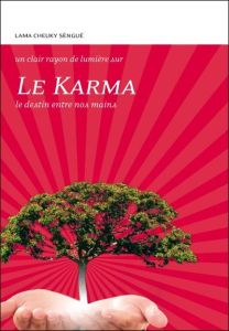 Le Karma. Le destin entre nos mains - LAMA CHEUKY SENGUE