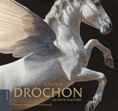 Sélection Drochon. Artiste peintre - Drochon Christophe - Bougrain Dubourg Allain