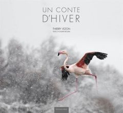 Un conte d'hiver - Vezon Thierry - Boura Olivier