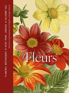 Fleurs. Planches botaniques d'hier pour jardins d'aujourd'hui - Lapouge-Déjean Brigitte - Jones Louisa