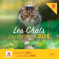 Calendrier chats. Edition 2024 - XXX