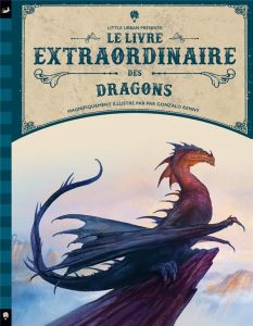 Le livre extraordinaire des dragons - Caldwell Stella - Kenny Gonzalo - Gros Emmanuel