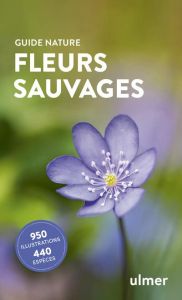 Fleurs sauvages - Kremer Bruno P. - Messerknecht Illsegret
