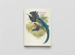 Carnet Oiseaux de Nouvelle-Guinée - Gould John