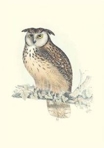 Carnet - Oiseaux de l’Himalaya - Notes et Lectures. Notes et Lectures - Gould John - Gould Elizabeth