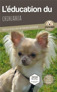 L'éducation du Chihuahua. Toutes les astuces pour un Chihuahua bien éduqué - MOUSS LE CHIEN