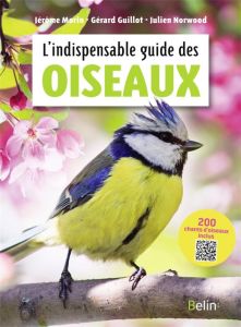 L'indispensable guide des oiseaux - Morin Jérôme - Guillot Gérard - Norwood Julien - E