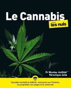 Le cannabis pour les nuls - Authier Nicolas - Julia Véronique - Obradovic Ivan
