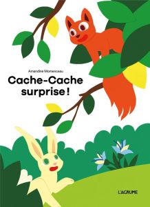 Cache-cache surprise ! - Momenceau Amandine