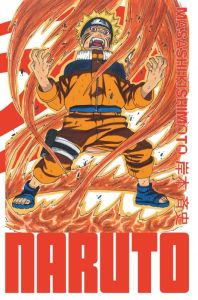 Naruto Edition Hokage Tome 13 - Kishimoto Masashi - Bigini Sébastien - Lucas Sophi
