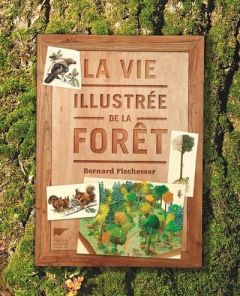 La vie illustrée de la forêt - Fischesser Bernard - Cazalis Alain - Mattei-Cazali