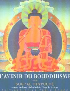 L'avenir du bouddhisme - Rinpoché Sogyal - Raurich Olivier