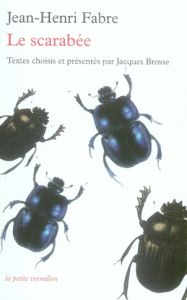 Le scarabée - Fabre Jean-Henri