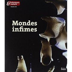 Techniques & culture N° 68, 2017/2 : Mondes infimes - Beltrame Tiziana Nicoletta - Houdart Sophie - Jung