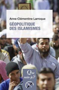 Géopolitique des islamismes. 3e édition - Larroque Anne-Clémentine