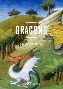 Dragons. Cracheurs de feu - Rioust Laure