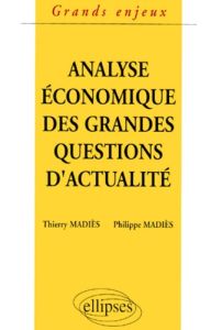 L'analyse économique des grandes questions d'actualité - Madiès Thierry - Madiès Philippe
