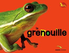 La grenouille - GREEN DREAMING