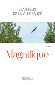 Magnifique - La Ville Baugé Jean-Félix de