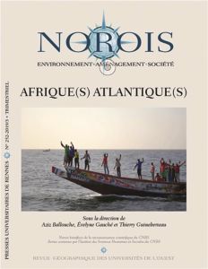 Norois N° 252-2019/3 : Afrique(s) Atlantique(s). Entre espace de transition et cohérence régionale - Ballouche Aziz - Gauché Evelyne - Guineberteau Thi