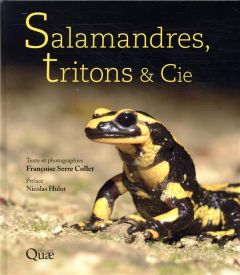 Salamandres, tritons & Cie - Serre Collet Françoise