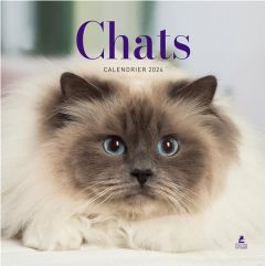 Calendrier chats. Edition 2024 - Urbain Camille - Thibaudault Yohann