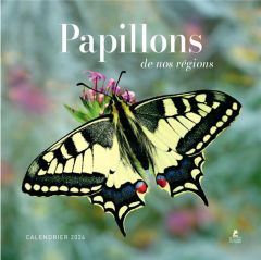 Calendrier papillons de nos régions. Edition 2024 - Robin Audrey - Urbain Camille