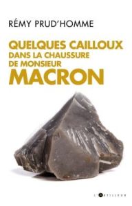 Cent cailloux dans la chaussure de Monsieur Macron - Prud'homme Rémy