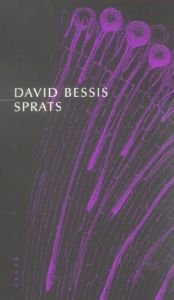 SPRATS - BESSIS DAVID