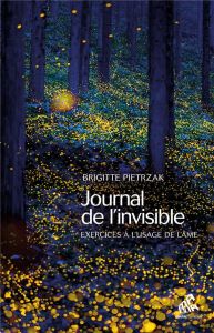 Journal de l'invisible - Pietrzak Brigitte - Hadengue Tigrane