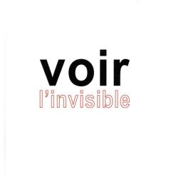 Voir l'invisible. Tome 2, Comprendre, Agir - Gex Jean-Pierre - Lehn Jean-Marie