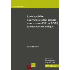 La comptabilité des grandes et très grandes associations ASBL et AISBL & fondations en pratique - Maillard Fernand